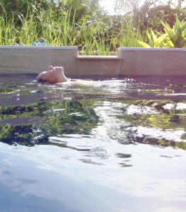piscina-ecologica